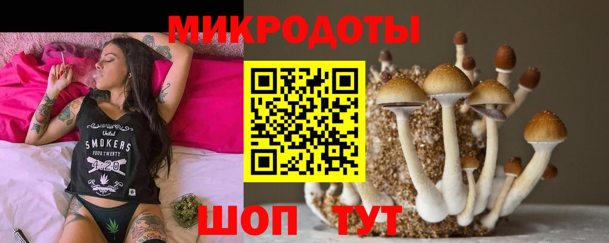 Псилоцибиновые грибы Psilocybine cubensis Амурск