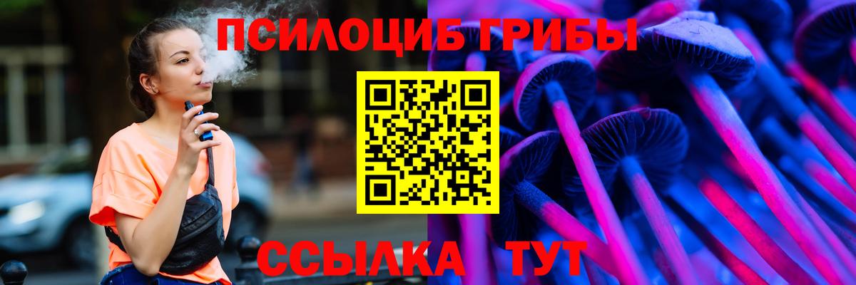 Амурск  Галлюциногенные грибы Psilocybe  Вход с VPN 